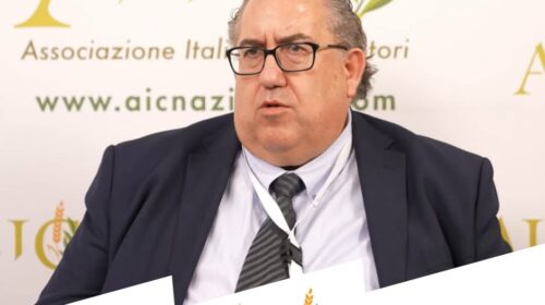 Nasce l’Associazione Italiana Coltivatori Pesca Salerno, Scaglione-“Il made in Italy passa anche dal mare”. Nasce l’Associazione Italiana Coltivatori Pesca Salerno, Scaglione-“Il made in Italy passa anche dal mare”.