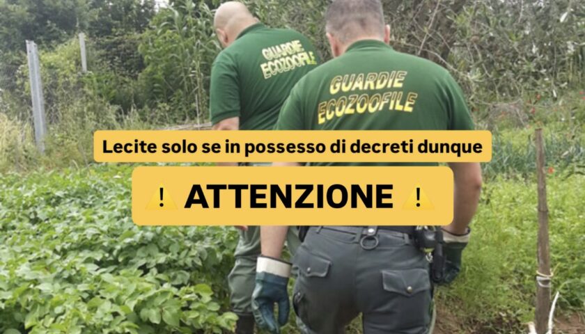 Salerno: attenzione alle verifiche delle “guardie zoofile”, chiarimenti sui controlli e sui diritti dei cittadini