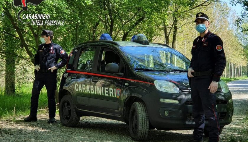 Abbandono rifiuti pericolosi, 9 denunciati