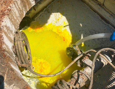 Capaccio Paestum, scarico illecito reflui: sequestrati locali produzione caseificio