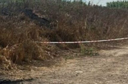 Eboli, rinvenuto cadavere: ucciso a colpi di pistola e poi carbonizzato a Bivio Cioffi Eboli, rinvenuto cadavere: ucciso a colpi di pistola e poi carbonizzato a Bivio Cioffi
