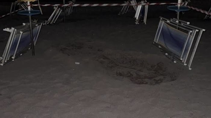 Vietri sul Mare, individuato  nido di tartarughe in spiaggia