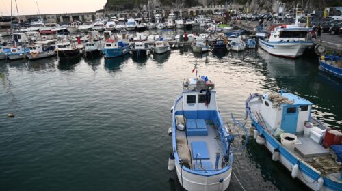 Coldiretti Pesca Campania soddisfatta: La Giunta regionale approva il disegno di legge per la riduzione del polistirene nella pesca Coldiretti Pesca Campania soddisfatta: La Giunta regionale approva il disegno di legge per la riduzione del polistirene nella pesca