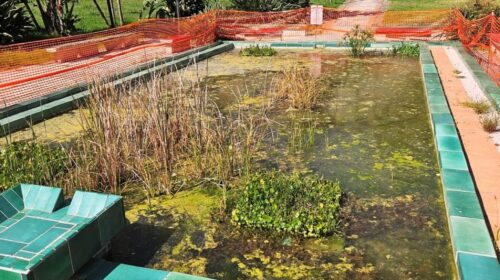 Salerno, degrado parco Mercatello e dintorni: ora basta, si intervenga con urgenza” Salerno, degrado parco Mercatello e dintorni: ora basta, si intervenga con urgenza”