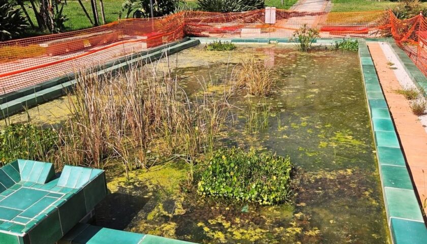 Salerno, degrado parco Mercatello e dintorni: ora basta, si intervenga con urgenza”