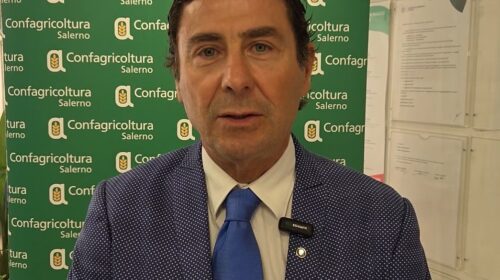 Confagricoltura Salerno, emergenza cinghiali