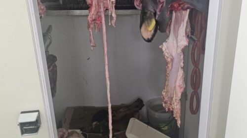 A Battipaglia sequestro carni di prodotti alimentari e cosmetici in un negozio di via Rosa Jemma A Battipaglia sequestro carni di prodotti alimentari e cosmetici in un negozio di via Rosa Jemma
