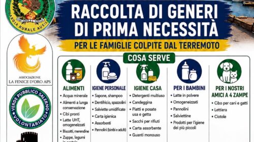 RACCOLTA DI GENERI DI PRIMA NECESSITÀ PER LE FAMIGLIE COLPITE DAL TERREMOTO AI CAMPI FLEGREI