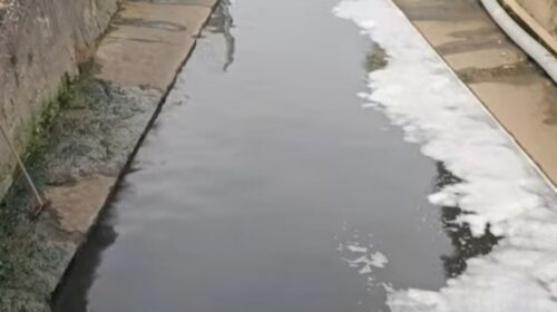 Miasmi del Sarno, Aliberti scrive al sindaco di Angri: “Intensificare subito i controlli sul Rio Sguazzatorio” Miasmi del Sarno, Aliberti scrive al sindaco di Angri: “Intensificare subito i controlli sul Rio Sguazzatorio”