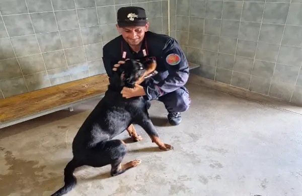 Eboli, 38 cani maltrattati e denutriti in un tugurio: deferiti 2 coniugi, sequestrato fabbricato