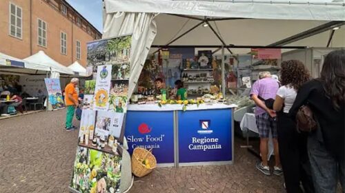 Tramonti protagonista a Terra Madre Salone del Gusto 2026 a Torino: in vetrina le eccellenze Tramonti protagonista a Terra Madre Salone del Gusto 2026 a Torino: in vetrina le eccellenze