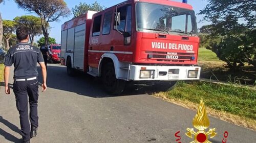 Gattino intrappolato in una condotta a Sala Consilina: salvato dai vigili del fuoco