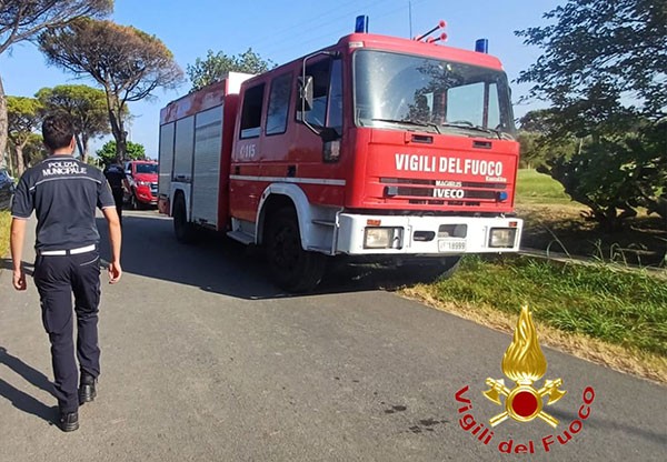 Gattino intrappolato in una condotta a Sala Consilina: salvato dai vigili del fuoco