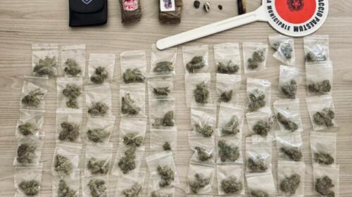 Nasconde droga nel bosco a Capaccio, spacciatore in fuga Nasconde droga nel bosco a Capaccio, spacciatore in fuga