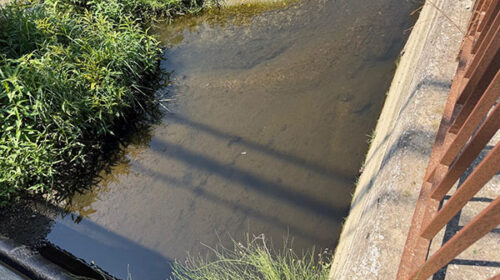 Fiume Sarno, task force anti inquinamento: sequestrati 8500 mq di aree aziendali