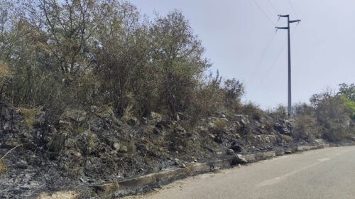 Roccadaspide, incendio in via Tempone Zerillo: ringraziamenti ai carabinieri forestali Roccadaspide, incendio in via Tempone Zerillo: ringraziamenti ai carabinieri forestali