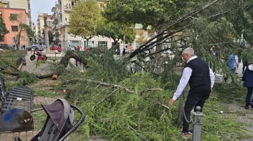 Maltempo a Battipaglia, cade albero: ferite donna e bambina
