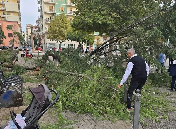 Maltempo a Battipaglia, cade albero: ferite donna e bambina