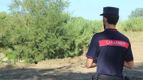 Giffoni Valle Piana, furto di 300 quintali di legname nel Parco Monti Picentini:  arrestato