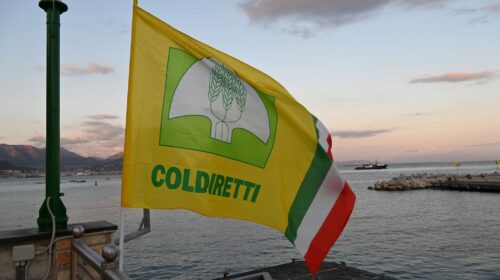Pesca, Coldiretti: Cetara capitale europea del tonno rosso. Due giorni per disegnare il futuro
