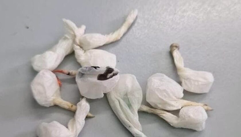 Salerno, dieci involucri di cocaina nell’intercapedine del tetto dell’auto: denunciato