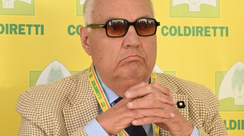 Lutto Coldiretti, muore il direttore storico Salvatore Loffreda