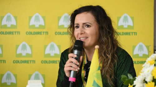 Cambio al vertice per l’IGP Olio Campania: nominata presidente Veronica Barbati Cambio al vertice per l’IGP Olio Campania: nominata presidente Veronica Barbati