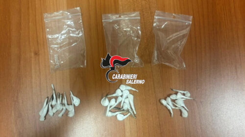 Due arresti a Salerno per detenzione di sostanze stupefacenti ai fini di spaccio.