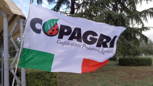 Richiesta urgente di misure straordinarie avanzata dalla Copagri, per voce della presidente regionale Angela Pisacane, per affrontare la crisi agricola, tutelare il reddito dei produttori e sostenere l’intero comparto agroalimentare. L’agricoltura italiana e campana sta attraversando una fase di grave difficoltà che non può essere affrontata con interventi occasionali o dichiarazioni di principio. L’aumento dei costi di carburanti, energia, fertilizzanti e prodotti fitosanitari, gli effetti dei cambiamenti climatici, la volatilità dei mercati e la crescente difficoltà di ottenere prezzi remunerativi stanno mettendo a rischio la tenuta economica di migliaia di imprese. A pagare il prezzo più alto sono gli agricoltori, stretti tra costi di produzione sempre più elevati e prezzi di vendita spesso insufficienti a garantire la copertura delle spese. Si tratta di una condizione che indebolisce il tessuto produttivo, scoraggia gli investimenti, compromette il ricambio generazionale e accelera l’abbandono delle campagne, soprattutto nelle aree interne e svantaggiate. Non è più accettabile che chi produce il cibo continui a sostenere da solo il peso delle crisi, mentre lungo la filiera il valore delle produzioni non viene distribuito in modo equo. La Copagri e la presidenza regionale sottolineano che l’agricoltura ha bisogno di risposte immediate, risorse adeguate e impegni verificabili. Si chiede pertanto al Ministero e alla Regione Campania di avviare un programma straordinario di interventi, utilizzando in maniera coordinata le risorse regionali, nazionali ed europee e individuando misure capaci di incidere realmente sulla redditività di tutte le aziende agricole, senza distinzione di categoria. Queste le priorità indicate dalla Copagri da affrontare subito, prima che la situazione degeneri in maniera irreversibile per il comparto: Sostegno immediato e trasversale all’emergenza costi, intervenendo sull’aumento dei prezzi di carburanti, energia, fertilizzanti e mezzi tecnici per tutelare la liquidità aziendale. Credito agevolato e abbattimento degli interessi, attraverso bandi regionali e nazionali per le spese di gestione e il capitale circolante, con particolare attenzione alle realtà più in difficoltà. Prezzi equi e contrasto alle pratiche commerciali sleali, per garantire una remunerazione dignitosa del lavoro agricolo e una corretta distribuzione del valore lungo l’intera filiera. Controlli rigorosi sulle importazioni da Paesi terzi, per pretendere standard di sicurezza e ambientali equivalenti e difendere la produzione locale dalla concorrenza sleale. Istituzione del Reddito di contadinanza, per riconoscere il valore economico e sociale di chi coltiva la terra e tutela le aree interne, il paesaggio e la biodiversità. Utilizzo pieno e coordinato delle risorse della PAC e dei fondi regionali e nazionali, riducendo i passaggi burocratici per trasformare le opportunità in aiuti concreti alle imprese. Alla luce della situazione descritta, la Copagri e la presidente Angela Pisacane chiedono la convocazione urgente di un tavolo tecnico regionale e di un confronto nazionale per definire un piano operativo con tempi certi, risorse mirate e un monitoraggio costante a supporto del reddito degli agricoltori. La difesa dell’agricoltura non è una richiesta corporativa, ma una scelta strategica imprescindibile per la sicurezza alimentare e la tenuta delle comunità rurali. Richiesta urgente di misure straordinarie avanzata dalla Copagri, per voce della presidente regionale Angela Pisacane, per affrontare la crisi agricola, tutelare il reddito dei produttori e sostenere l’intero comparto agroalimentare. L’agricoltura italiana e campana sta attraversando una fase di grave difficoltà che non può essere affrontata con interventi occasionali o dichiarazioni di principio. L’aumento dei costi di carburanti, energia, fertilizzanti e prodotti fitosanitari, gli effetti dei cambiamenti climatici, la volatilità dei mercati e la crescente difficoltà di ottenere prezzi remunerativi stanno mettendo a rischio la tenuta economica di migliaia di imprese. A pagare il prezzo più alto sono gli agricoltori, stretti tra costi di produzione sempre più elevati e prezzi di vendita spesso insufficienti a garantire la copertura delle spese. Si tratta di una condizione che indebolisce il tessuto produttivo, scoraggia gli investimenti, compromette il ricambio generazionale e accelera l’abbandono delle campagne, soprattutto nelle aree interne e svantaggiate. Non è più accettabile che chi produce il cibo continui a sostenere da solo il peso delle crisi, mentre lungo la filiera il valore delle produzioni non viene distribuito in modo equo. La Copagri e la presidenza regionale sottolineano che l’agricoltura ha bisogno di risposte immediate, risorse adeguate e impegni verificabili. Si chiede pertanto al Ministero e alla Regione Campania di avviare un programma straordinario di interventi, utilizzando in maniera coordinata le risorse regionali, nazionali ed europee e individuando misure capaci di incidere realmente sulla redditività di tutte le aziende agricole, senza distinzione di categoria. Queste le priorità indicate dalla Copagri da affrontare subito, prima che la situazione degeneri in maniera irreversibile per il comparto: Sostegno immediato e trasversale all’emergenza costi, intervenendo sull’aumento dei prezzi di carburanti, energia, fertilizzanti e mezzi tecnici per tutelare la liquidità aziendale. Credito agevolato e abbattimento degli interessi, attraverso bandi regionali e nazionali per le spese di gestione e il capitale circolante, con particolare attenzione alle realtà più in difficoltà. Prezzi equi e contrasto alle pratiche commerciali sleali, per garantire una remunerazione dignitosa del lavoro agricolo e una corretta distribuzione del valore lungo l’intera filiera. Controlli rigorosi sulle importazioni da Paesi terzi, per pretendere standard di sicurezza e ambientali equivalenti e difendere la produzione locale dalla concorrenza sleale. Istituzione del Reddito di contadinanza, per riconoscere il valore economico e sociale di chi coltiva la terra e tutela le aree interne, il paesaggio e la biodiversità. Utilizzo pieno e coordinato delle risorse della PAC e dei fondi regionali e nazionali, riducendo i passaggi burocratici per trasformare le opportunità in aiuti concreti alle imprese. Alla luce della situazione descritta, la Copagri e la presidente Angela Pisacane chiedono la convocazione urgente di un tavolo tecnico regionale e di un confronto nazionale per definire un piano operativo con tempi certi, risorse mirate e un monitoraggio costante a supporto del reddito degli agricoltori. La difesa dell’agricoltura non è una richiesta corporativa, ma una scelta strategica imprescindibile per la sicurezza alimentare e la tenuta delle comunità rurali.