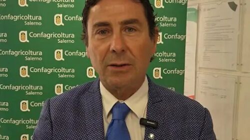 Protesta Tir, Confagricoltura al Questore di Salerno: “Tutelare chi vuole lavorare” Protesta Tir, Confagricoltura al Questore di Salerno: “Tutelare chi vuole lavorare”