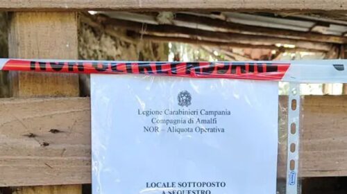 Sequestro rifiugio cinghiali a Minori: erano chiusi irregolarmente, 6 indagati Sequestro rifiugio cinghiali a Minori: erano chiusi irregolarmente, 6 indagati