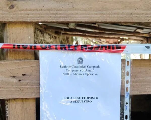 Sequestro rifiugio cinghiali a Minori: erano chiusi irregolarmente, 6 indagati
